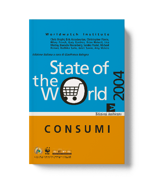 State of the world 2004